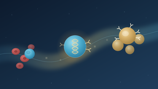 Abstract illustration of the cell therapy sequence: blood collection, genetic modification, and expanded engineered cells