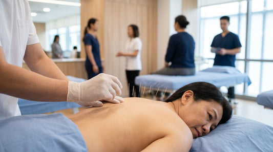 SinoCareLink Chinese Acupuncture Massage Guide