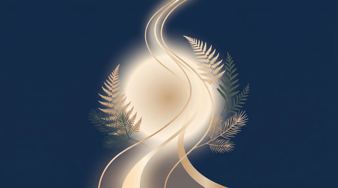 Longevity and Preventive Medicine: How a Proactive Health Check in China Works